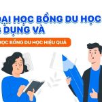 Các Chương trình Học bổng: Cơ hội học tập toàn cầu cùng MD Solution