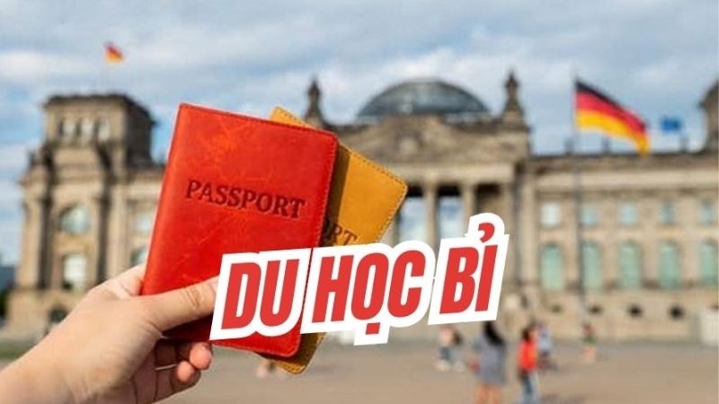 MD Solutions tư vấn Du học Bỉ bậc đại học: Cơ hội vàng 2026