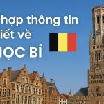 MD Solutions tư vấn Du học Bỉ bậc đại học: Cơ hội vàng 2026
