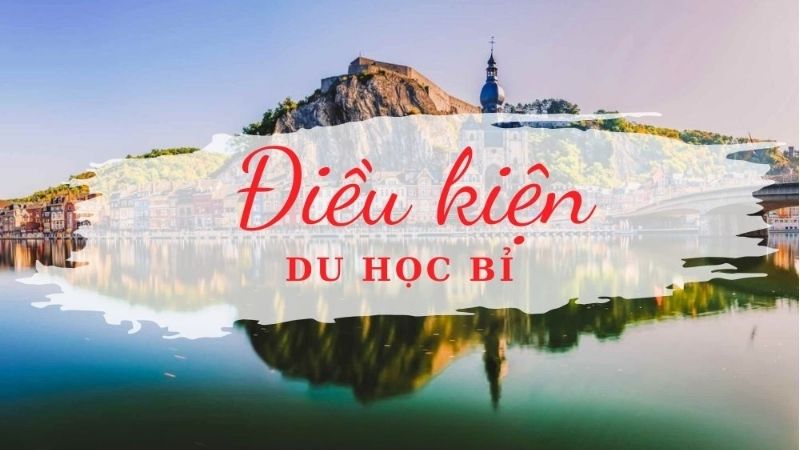 MD Solutions tư vấn Du học Bỉ bậc đại học: Cơ hội vàng 2026