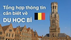 MD Solutions tư vấn Du học Bỉ bậc đại học: Cơ hội vàng 2026