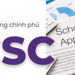 MD Solution Giải Đáp Học Bổng CSC: Cơ Hội Du Học Trung Quốc Toàn Phần