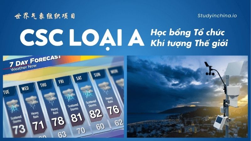 MD Solution Giải Đáp Học Bổng CSC: Cơ Hội Du Học Trung Quốc Toàn Phần