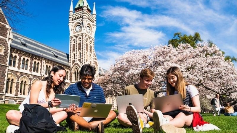 Học Bổng Du Học New Zealand 2025 Cùng MD SOLUTIONS: Cơ Hội Vàng