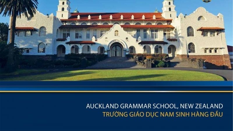 Học Bổng Du Học New Zealand 2025 Cùng MD SOLUTIONS: Cơ Hội Vàng