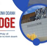Trường Kinh Doanh KEDGE: Lựa Chọn Lý Tưởng Do MD Solutions Review