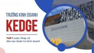 Trường Kinh Doanh KEDGE: Lựa Chọn Lý Tưởng Do MD Solutions Review