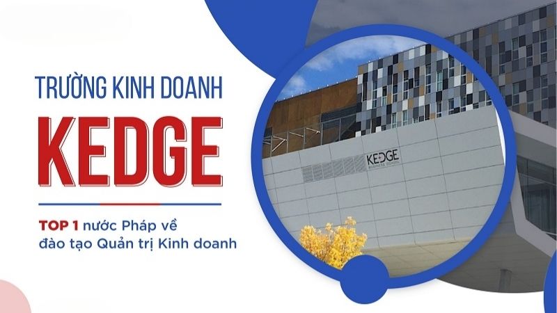 Trường Kinh Doanh KEDGE: Lựa Chọn Lý Tưởng Do MD Solutions Review